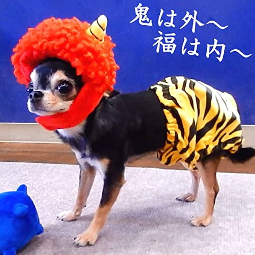 Amazon | 節分 犬 鬼 被り物 キャップ レッド Sサイズ | リアル